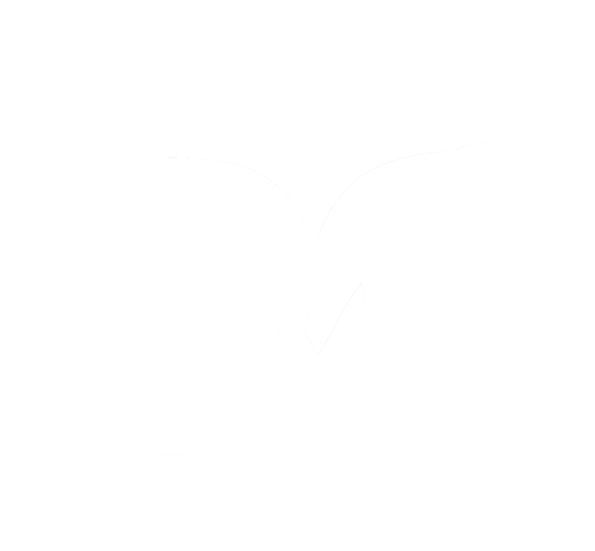 logo light